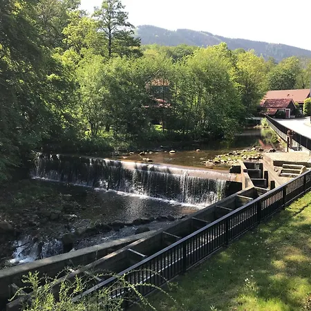 Chalets-zum-ilsetal-schloss-chalet-nr-19 Holiday home *