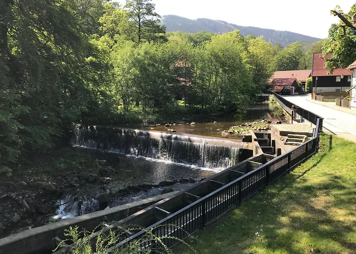 Chalets-zum-ilsetal-schloss-chalet-nr-19 Holiday home *